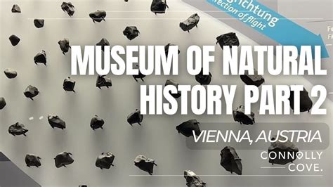 Museum Of Natural History Part Vienna Austria Things To Do In