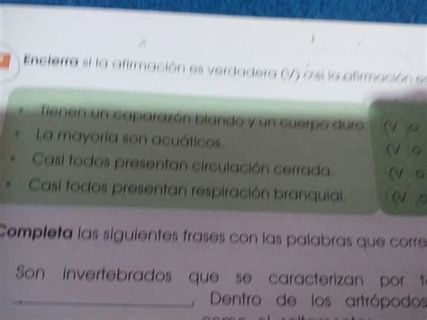 encierra si la afirmación es verdadera V o f si es falsa Brainly lat