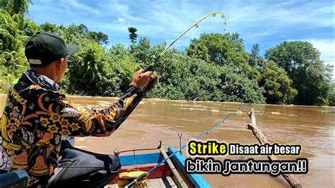 Tak Mengira Seganas Ini Umpan Mancing Ku Begitu Di Sukai Ketika Air