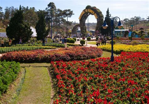 Da Lat Flower Festival: Exploring the Beauty and Fragrance of Vietnam's ...