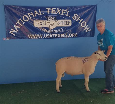 Photos - Texel Sheep Breeders Society