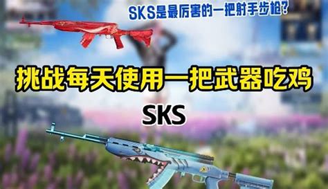 【晚羽和平精英】sks和mini哪把武器更强？ 挑战每天使用一把武器吃鸡粉丝数4084作品数263点赞数129 游戏视频 免费在线观看 爱奇艺