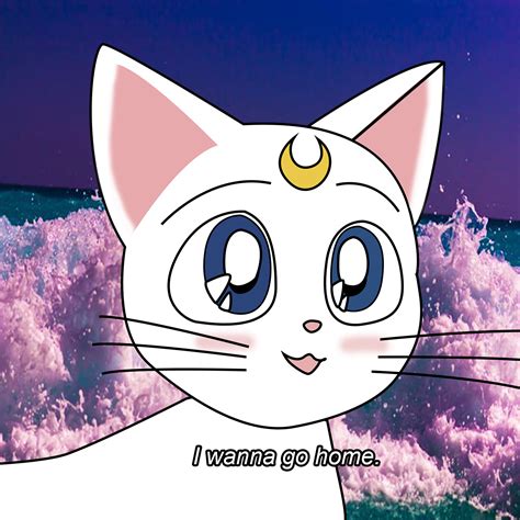 SAILOR MOON CAT ARTEMIS PASTEL I WANNA GO HOME T SHIRT IN WHITE on Storenvy