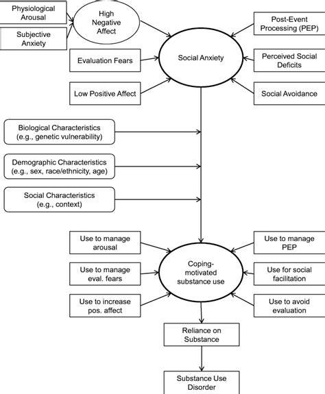 Updated Biopsychosocial Model Of The Relationship Between Social