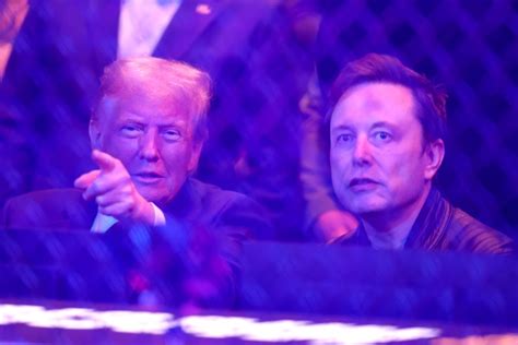 Trump Und Musk Zeichnet Sich Revierkampf Um Wei Es Haus Ab Derwesten De