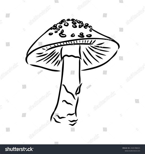 Handdrawn Flyagaric Doodle Icon Hand Drawn Stock Vector Royalty Free