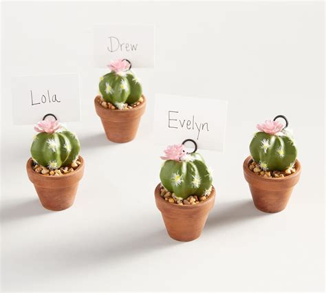 Potted Cactus Place Card Holders Set Of Pottery Barn