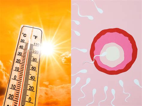 Sexual Health How Heatwave Can Impact Male And Female Fertility Preventive Tips Inside