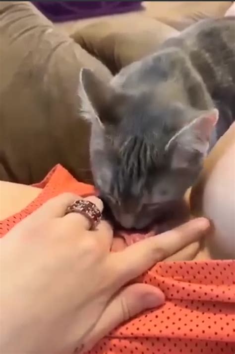 Widowed Mom Porn Pic