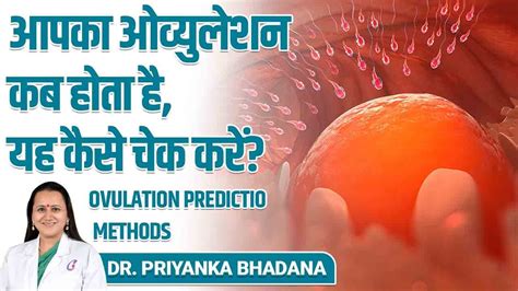 How To Check Your Ovulation Day महीने का कौन सा दिन बेस्ट है