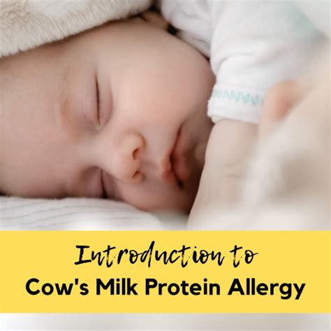 Introduction To Cow S Milk Protein Allergy My Allergy Kitchen