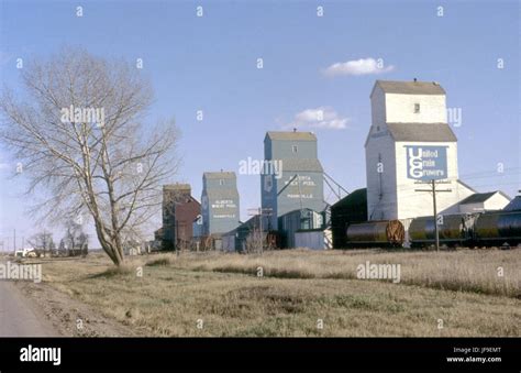 United Grain Growers And Alberta Wheat Pool Grain Elevators With