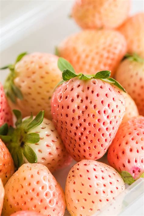 Pineberry Seeds