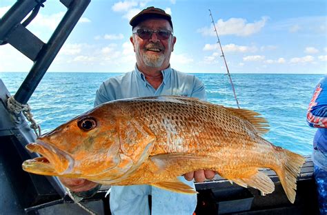 Golden Snapper With Offshore Boats Darwins Premier Reef And Sport