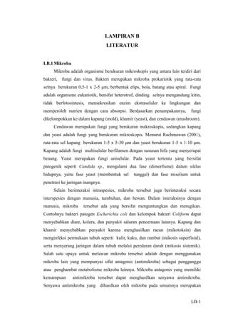 Lampiran B PDF