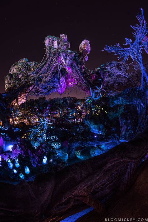 PHOTOS + VIDEO: Pandora - The World of Avatar Comes Alive at Night