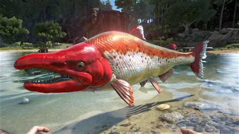 Sabertooth Salmon Official ARK Survival Evolved Wiki