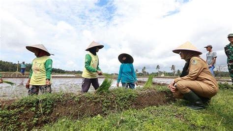 Kisah Sukses Petani Banyuwangi Terapkan Pertanian Terpadu Lahan Makin