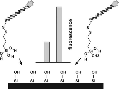 Immobilization Of Silanized Dna On Glass Influence Of The Silane Tether On The Dna