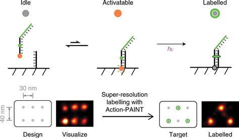 Nature Chemistry On Twitter A Method For Active Labelling Of Single