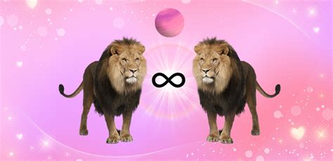 How To Maximize The Energies Of The Lions Gate Portal The Venus Rose