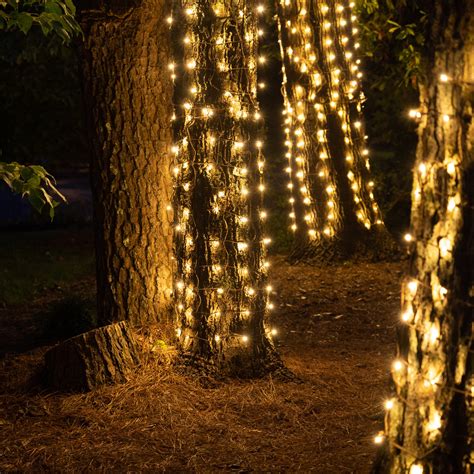 tree and lights 10