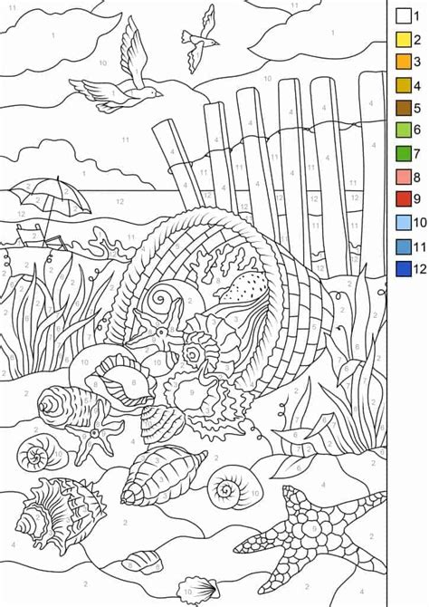 Sea Shells Color Original Style Or By Numbers Printable Adult