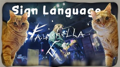 Sign Language Fauxchella VI YouTube