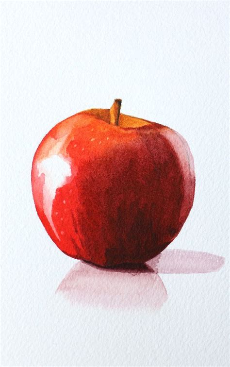 Learn How To Paint An Apple In Watercolor Beginner S Guide