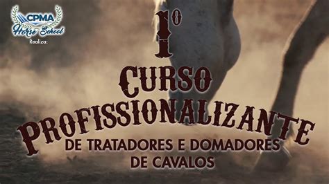 Curso De Domador De Cavalos - Curso Profissionalizante de Tratadores e Domadores de Cavalos - YouTube