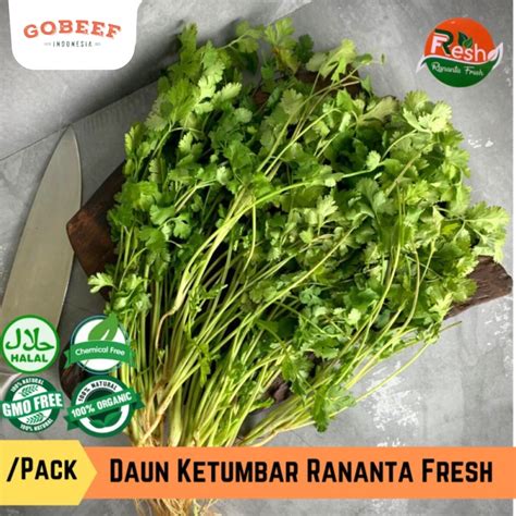 Jual Daun Ketumbar Daun Wansui Cilantro Coriander Fresh Shopee