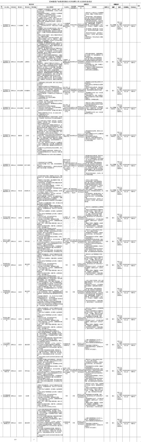 贵州能投产业集团有限公司2024年公开招聘工作人员公告（招聘计划：17人；报名时间：2月26日至5月18日） 贵州好工作