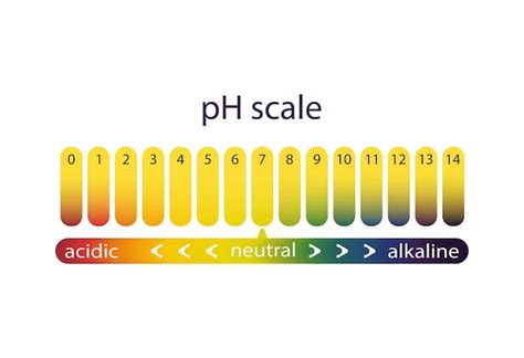 Scala Di Acidit Della Cartina Tornasole Sfumatura Di Colore