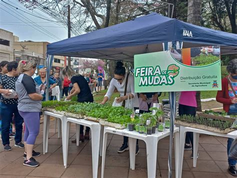 Prefeitura Distribui Mais De Mil Mudas Em Carazinho Carazinho News