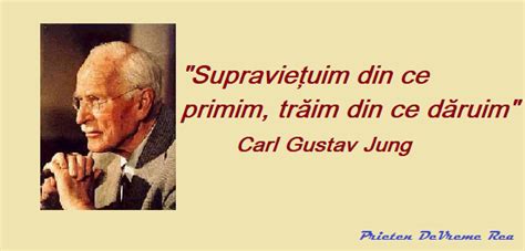 Top 10 Citate Celebrede La Carl Gustav Jung Citire Prieten De Vreme Rea