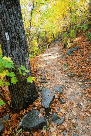 Incredible Ways To Explore Shenandoah National Park The Traveling