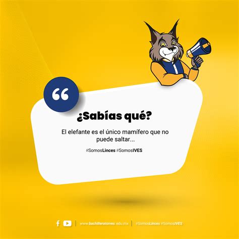 Y hoy en nuestro dato curioso del... - Bachillerato IVES