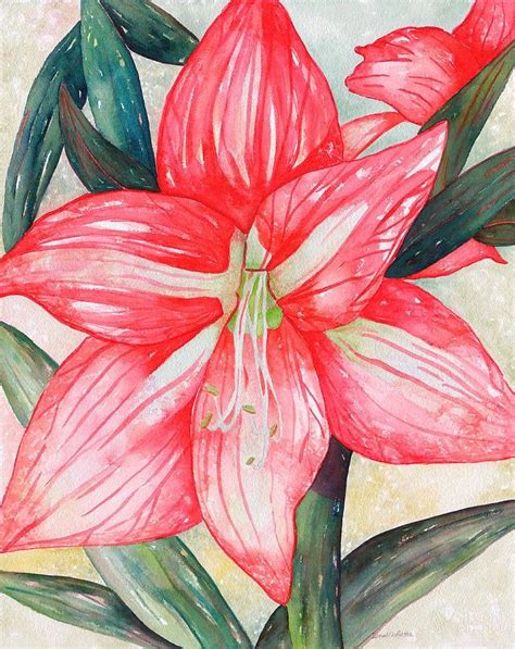 Pin By Pat Danyluk On Amaryllis Amaryllis Painting Art