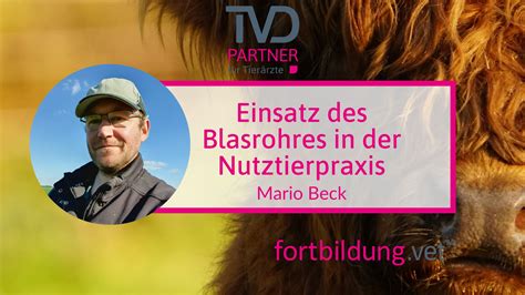 Einsatz Des Blasrohres In Der Nutztierpraxis Fortbildung Vet