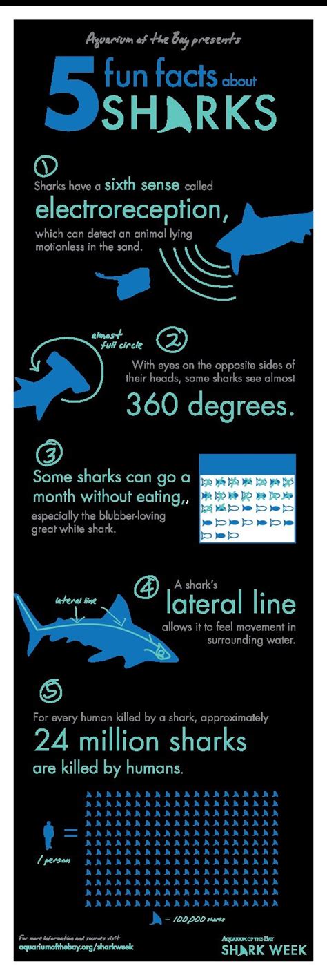 Shark facts, Fun facts about sharks, Shark week