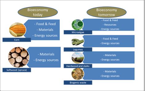 Bioeconomy Research Programme Bioeconomy Baden Württemberg