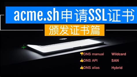 acme sh系列详细使用教程 颁发证书篇 DNS三种模式讲解 泛域名SAN以及Hybrid 模式讲解 YouTube