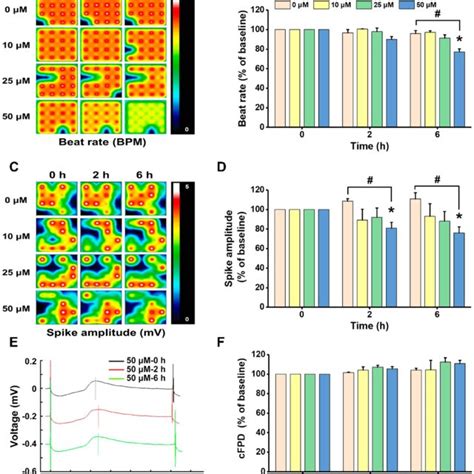 Differentiation And Identification Of Hipsc Cms Representative