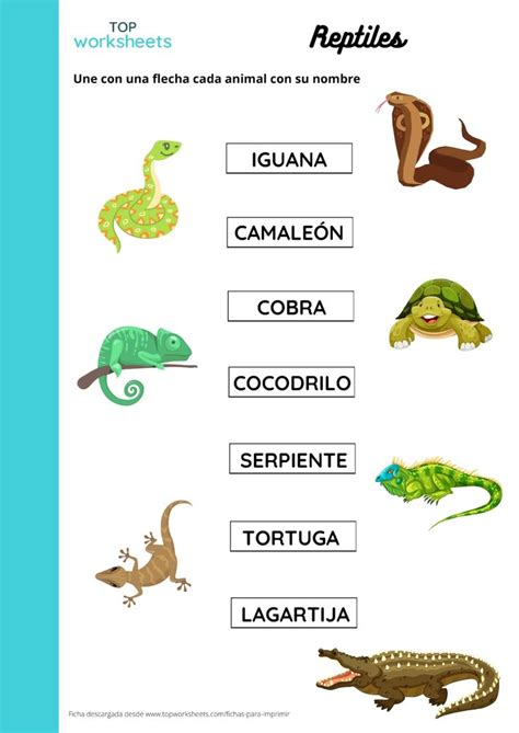 Unir Reptiles Reporte De Lectura Reptiles Maestros De Preescolar