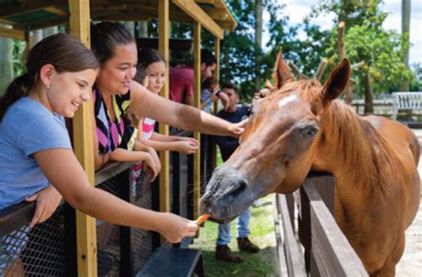 Family Fun and Adventures - Pinto's Farms