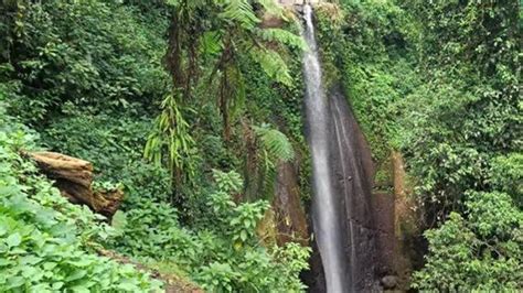 Tempat Wisata Di Bogor Ini Punya Air Terjun Yang Menakjubkan Jadi