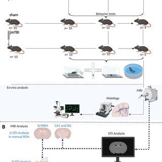 Experimental Design A Schematic Illustration Of The Temporal