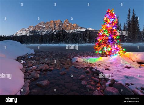 Christmas Tree, Castle Mountain and the Bow River in Winter, Banff ...