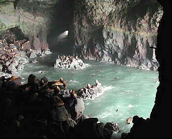 Sea Lion Caves : Florence Oregon Coast : Planet Eugene Oregon