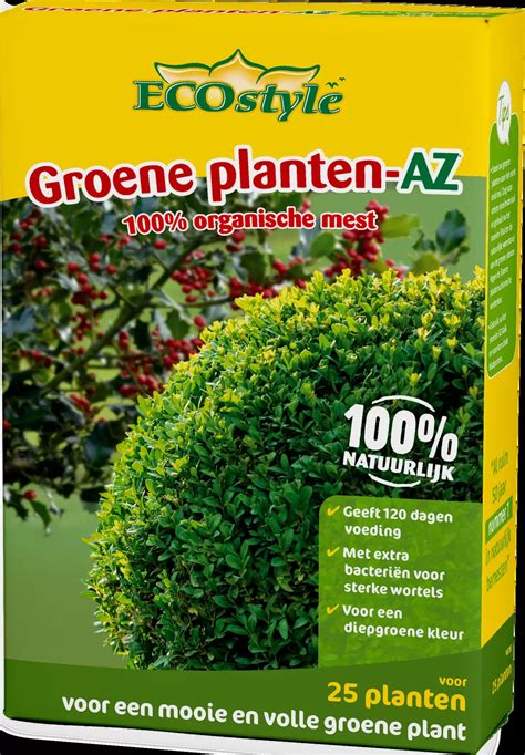 Groene Planten Az G Tuincentrum Outlet